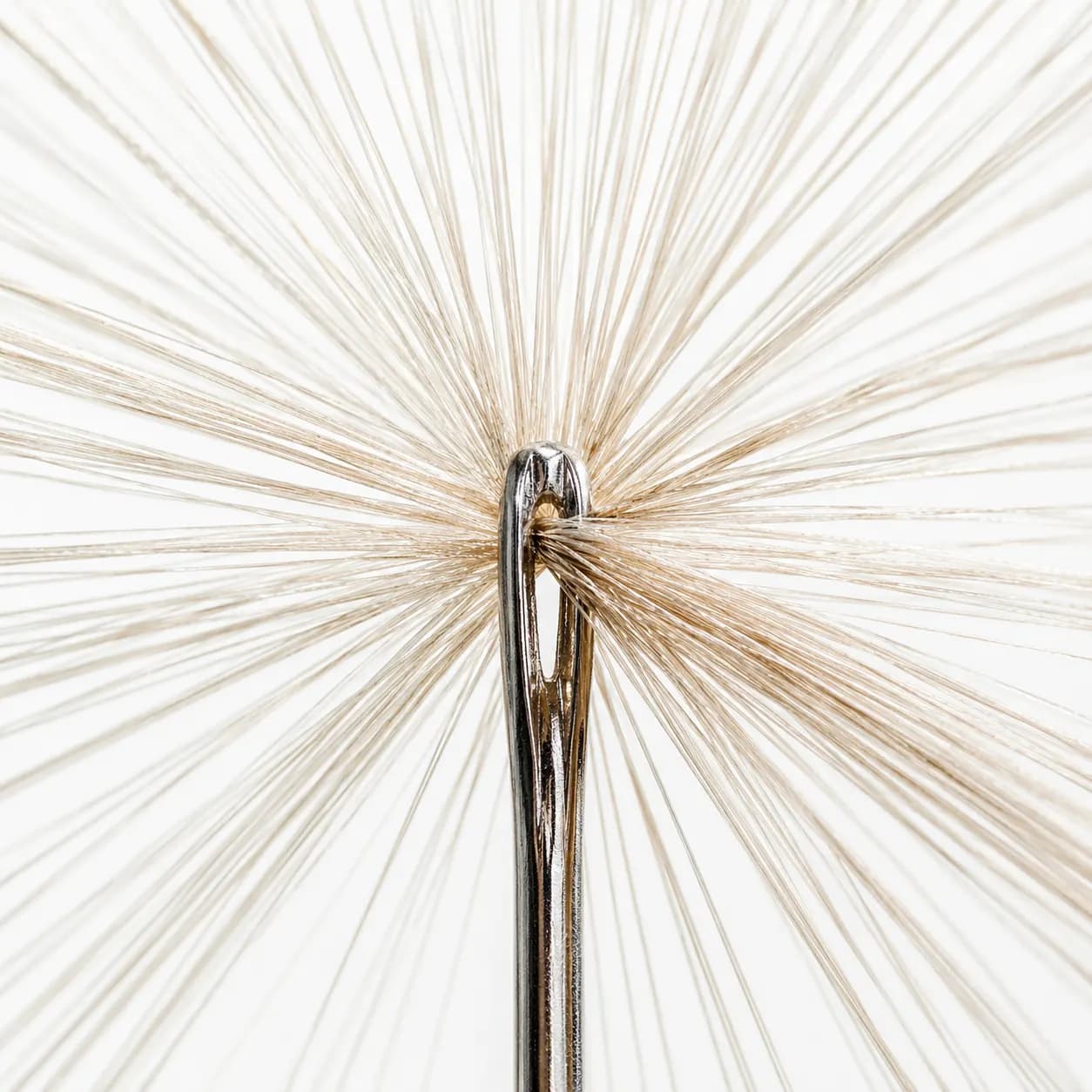 Konika Intima elastic development reference